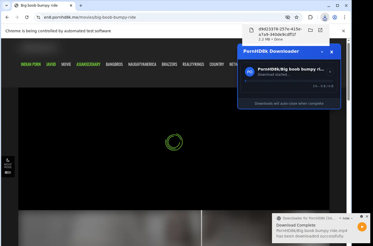 Pornhd 8 K Video Downloader screenshot 2