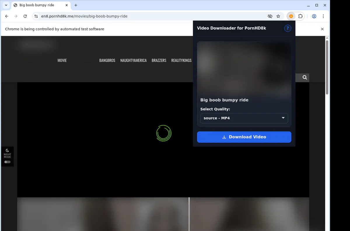 Pornhd 8 K Video Downloader screenshot 3